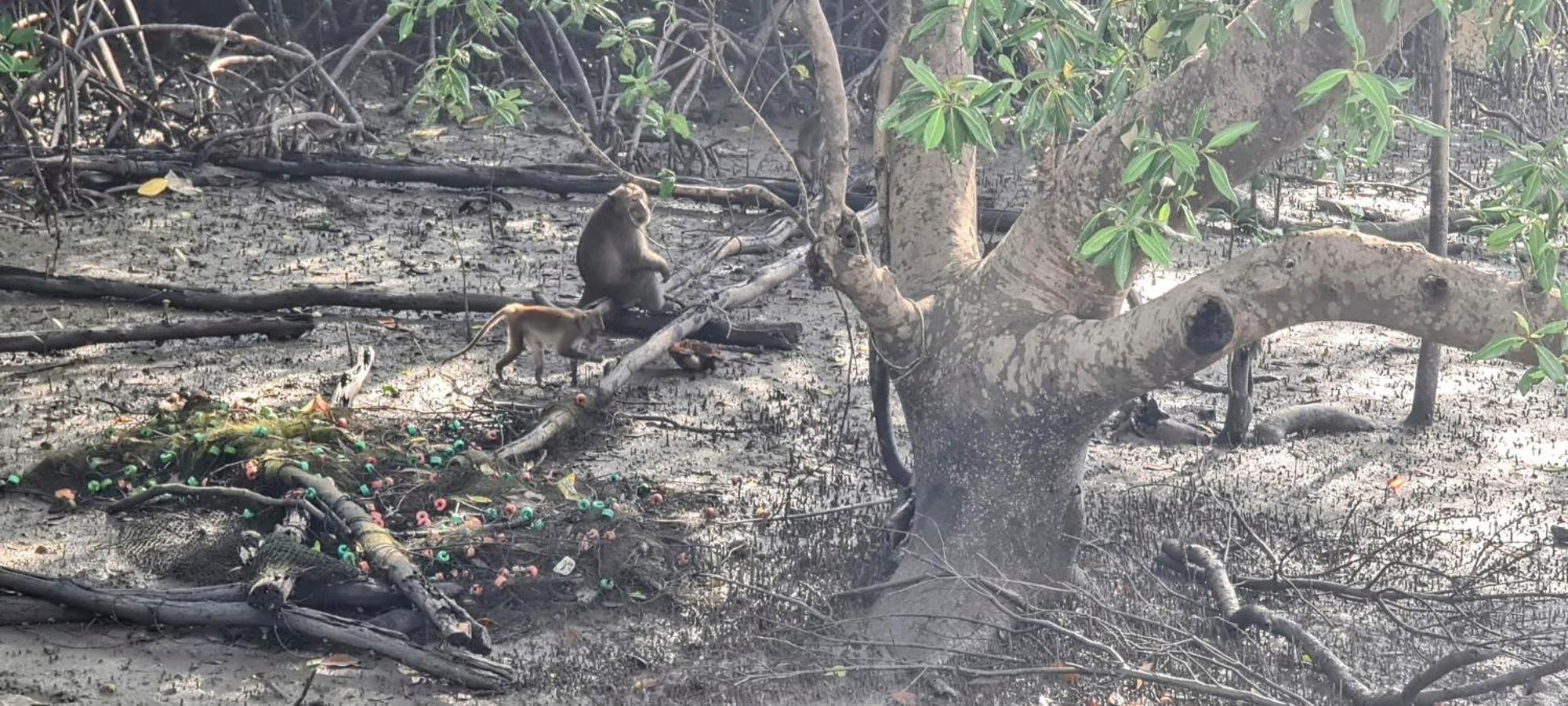 Phang Nga Bay Khanittha Homestay Ban Khiam Eksteriør bilde