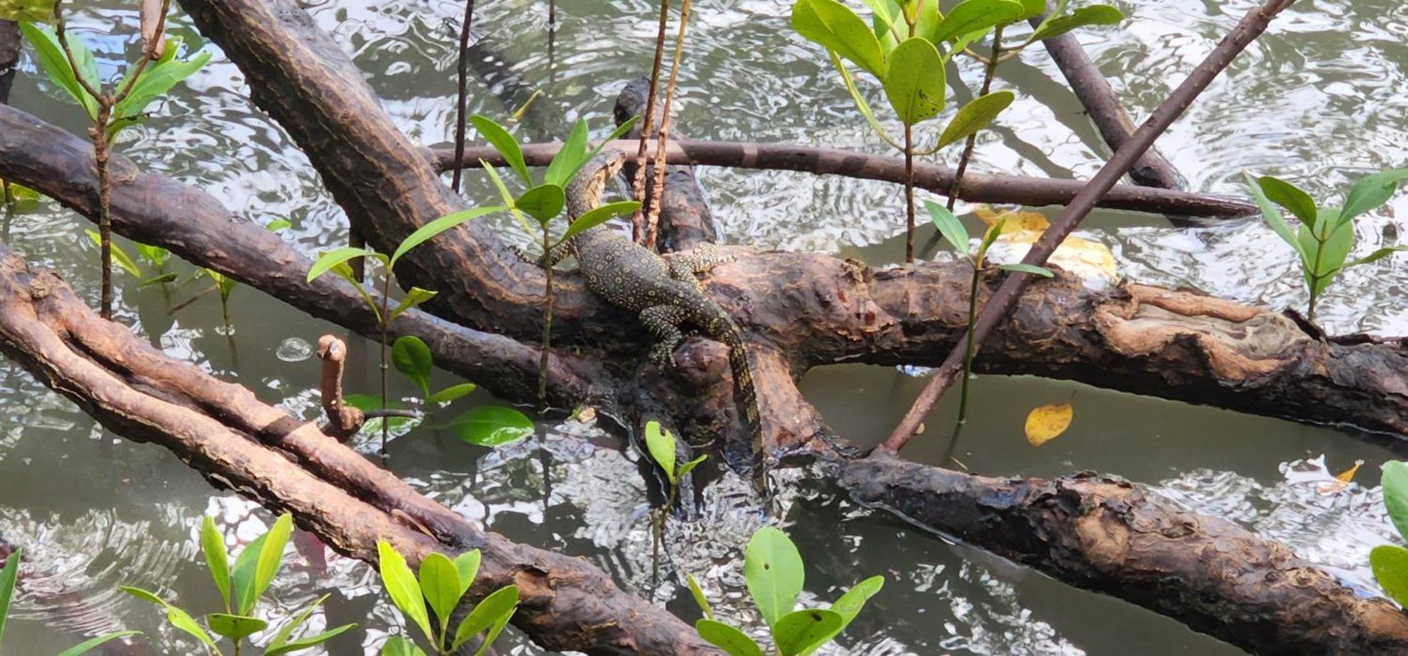 Phang Nga Bay Khanittha Homestay Ban Khiam Eksteriør bilde